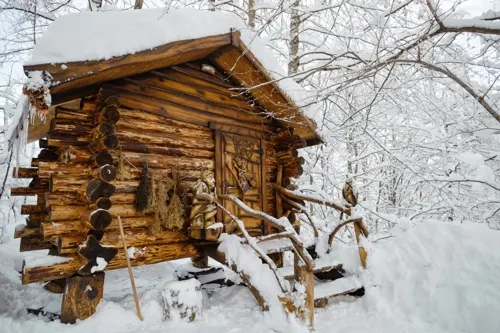 Прогулки в Лесу Чудес